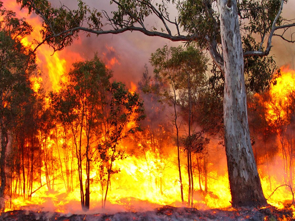 Lerderderg Bushfire